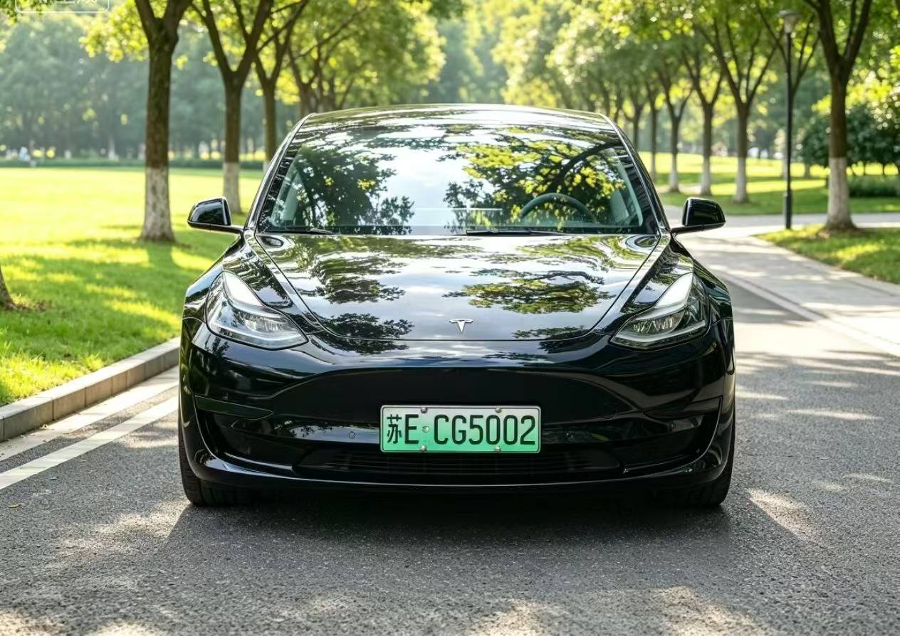 Tesla Model 3 2022 car image #2