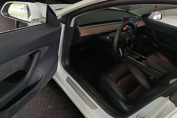 Tesla Model 3 2020 immagine di auto #16