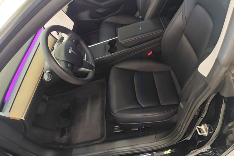 Tesla Model 3 2021 #15 Tesla Model 3 2021 car image #15