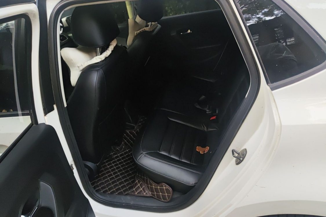 Volkswagen Polo 2012 car image #19