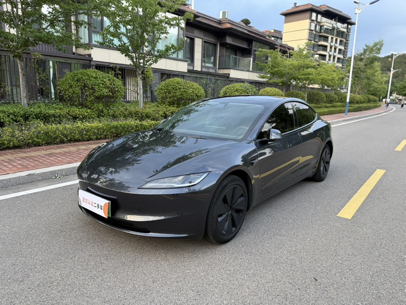 Tesla Model 3 2024 Tesla Model 3 2024 immagine di auto