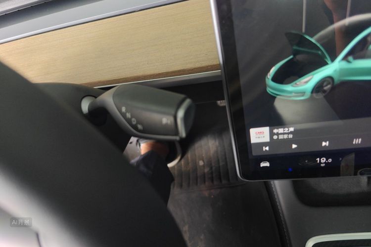 Tesla Model 3 2021 car image #16