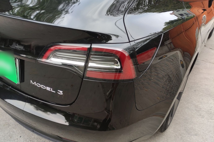 Tesla Model 3 2021 imagem de carro #8