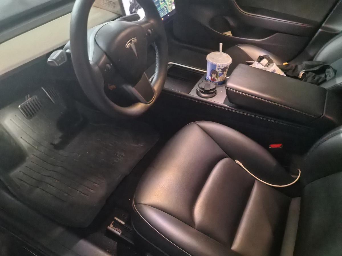 Tesla Model 3 2021 immagine di auto #4