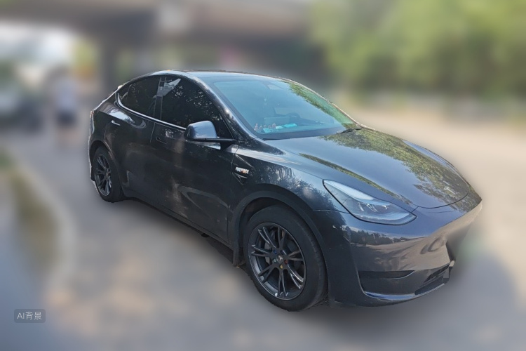 Tesla Model Y 2024 car image #4