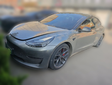 Tesla Model 3 2022 car image 