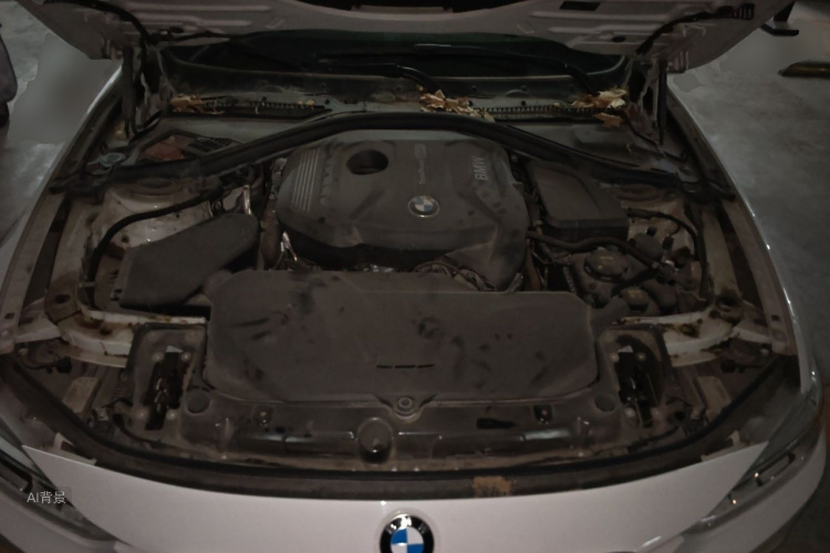 BMW 3 Series 2017 car image #22