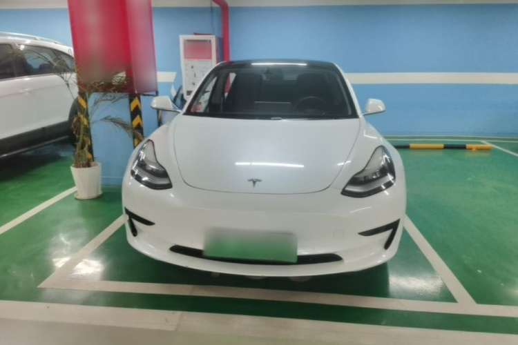 Tesla Model 3 2020 #3 Tesla Model 3 2020 car image #3