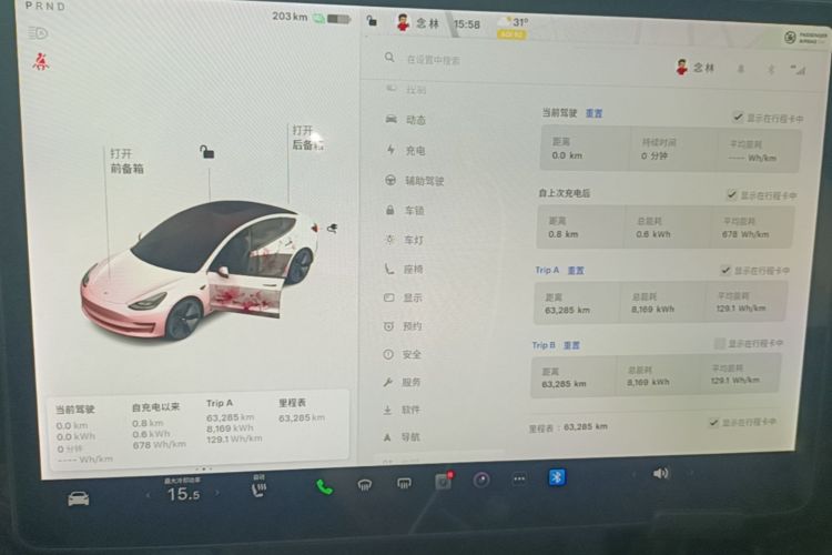 Tesla Model 3 2021 #12 Tesla Model 3 2021 car image #12