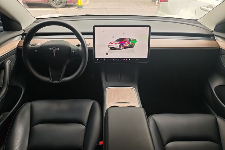 Tesla Model 3 2022 immagine di auto #10