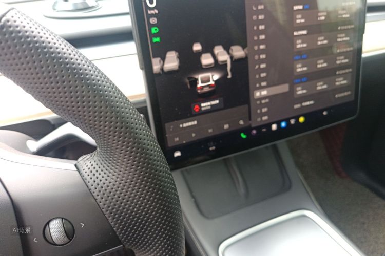 Tesla Model Y 2022 #13 Tesla Model Y 2022 car image #13