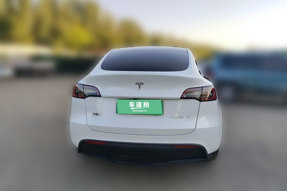 Tesla Model Y 2024 #6 Tesla Model Y 2024 car image #6