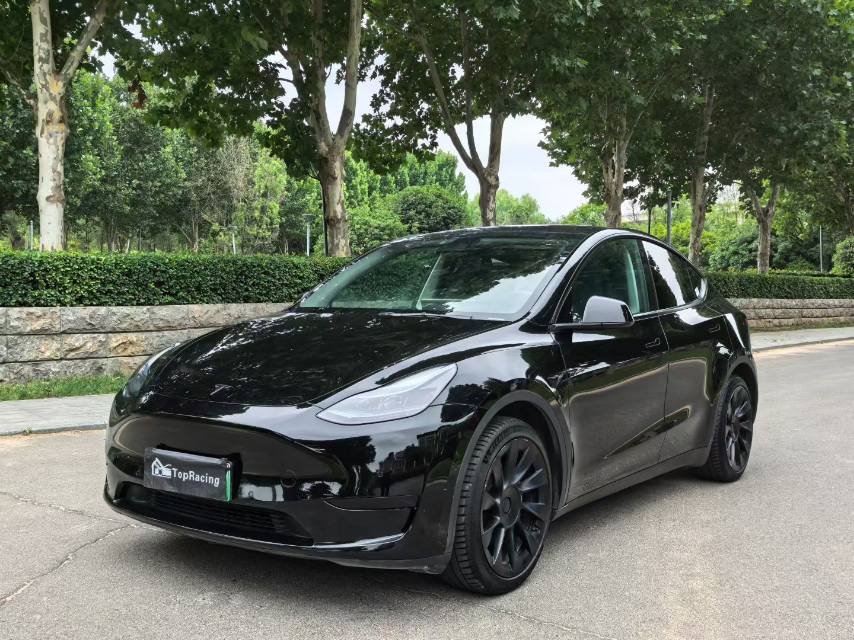 Tesla Model Y 2023 Tesla Model Y 2023 car image