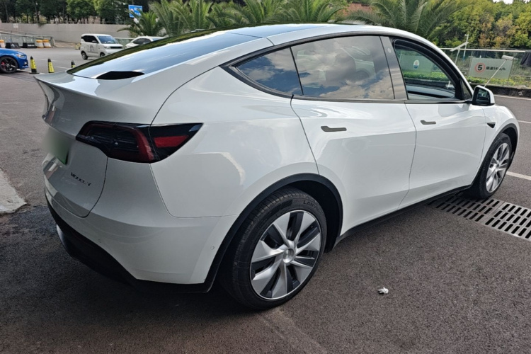 Tesla Model Y 2023 #7 Tesla Model Y 2023 car image #7