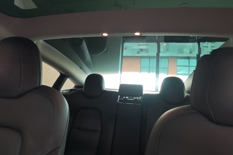 Tesla Model 3 2021 imagem de carro #18