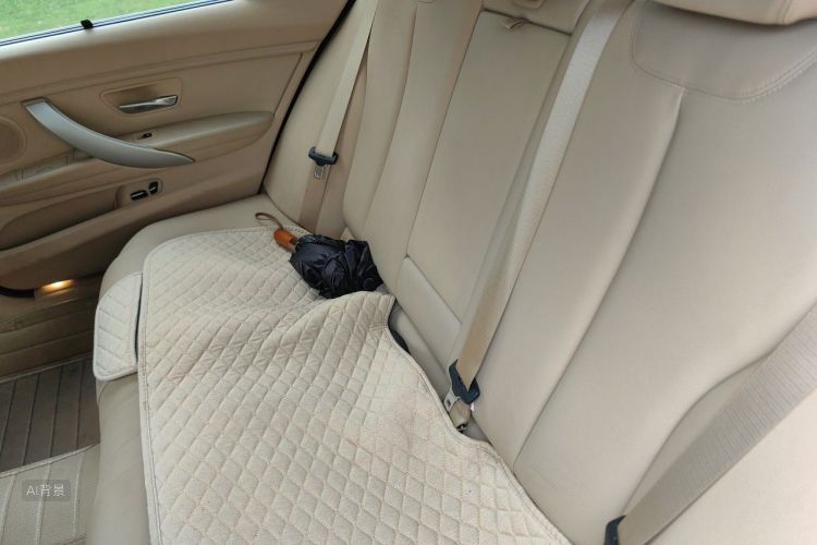 BMW 3 Series 2014 car image #19