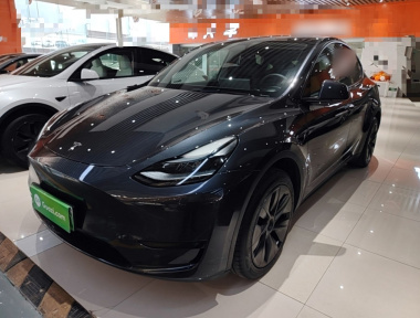 Tesla Model Y 2024 Tesla Model Y 2024 car image