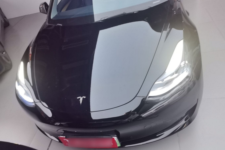 Tesla Model 3 2021 #3 Tesla Model 3 2021 car image #3