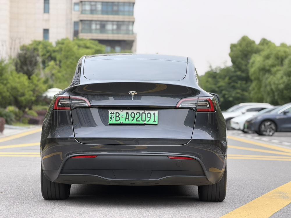 Tesla Model Y 2024 car image #6