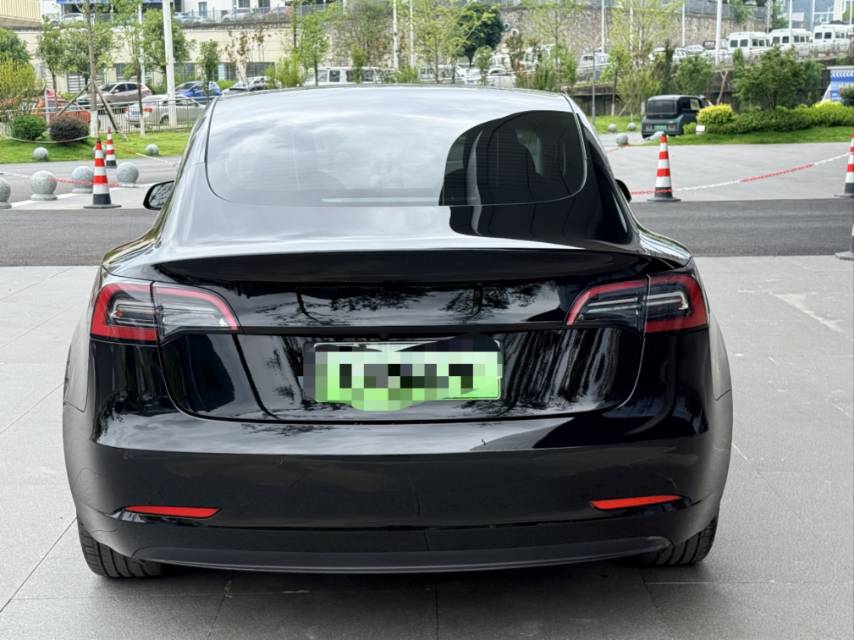 Tesla Model 3 2023 #5 Tesla Model 3 2023 car image #5