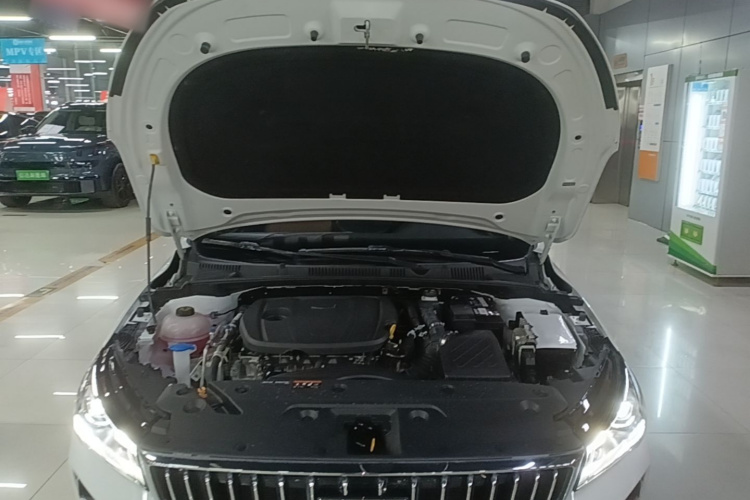 GEELY Emgrand 2024 car image #22