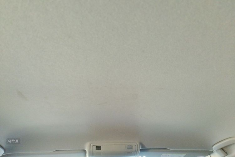 Volkswagen Lavida 2023 car image #20