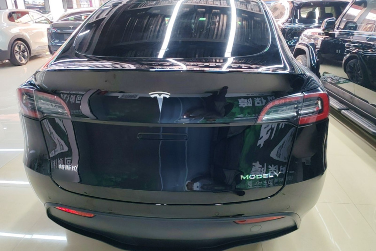 Tesla Model Y 2023 imagem de carro #6