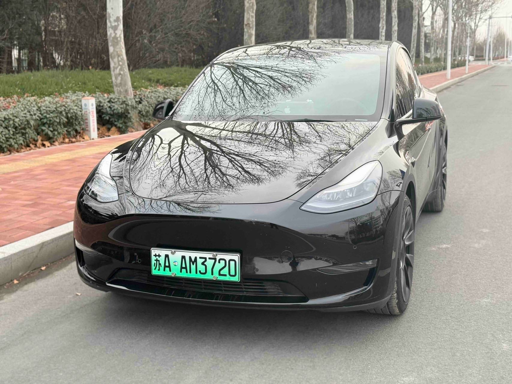 Tesla Model Y 2021 car image 
