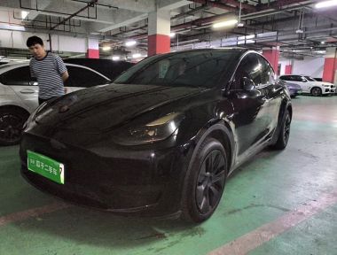 Tesla Model Y 2024 Tesla Model Y 2024 car image