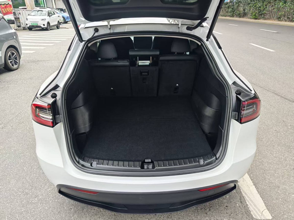 Tesla Model Y 2022 #7 Tesla Model Y 2022 car image #7