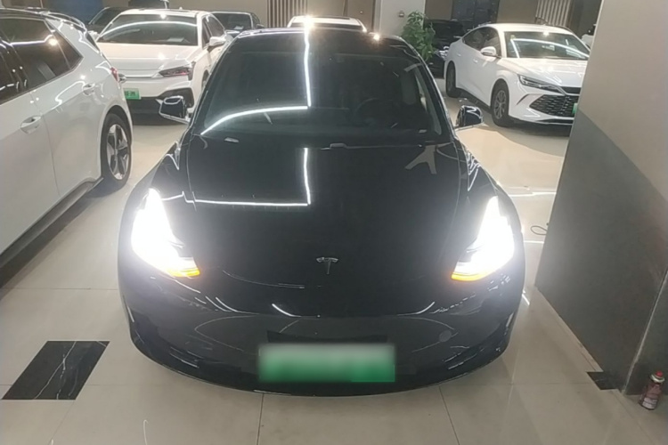 Tesla Model 3 2020 car image #3