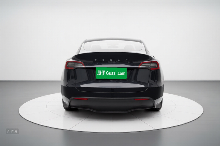 Tesla Model Y 2023 car image #6