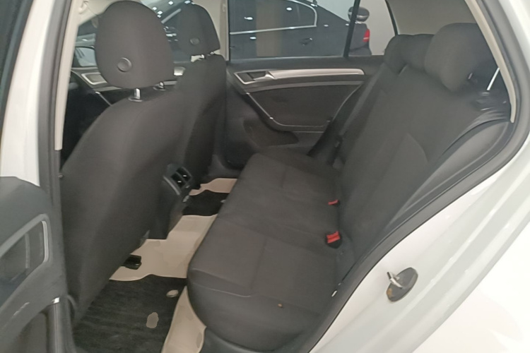 Volkswagen Golf 2019 car image #17