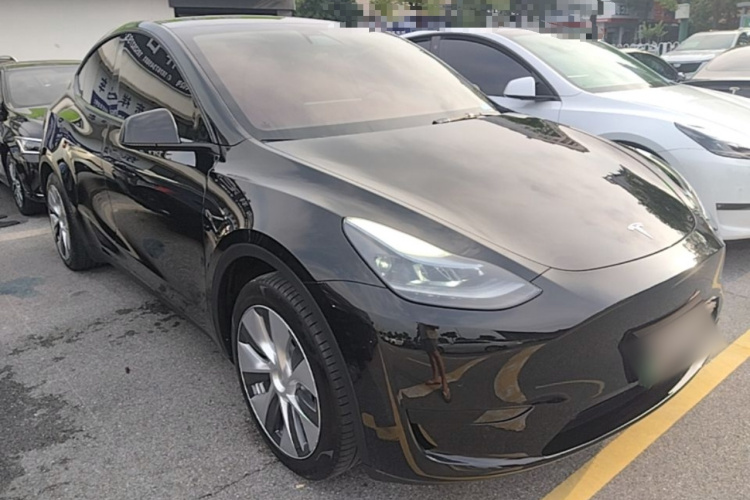 Tesla Model Y 2023 #6 Tesla Model Y 2023 car image #6