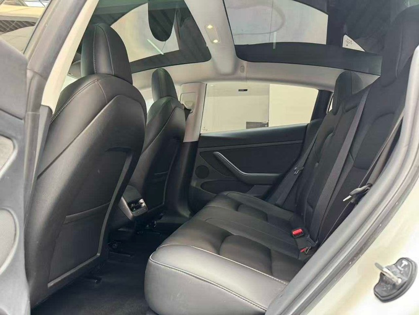 Tesla Model 3 2022 car image #13
