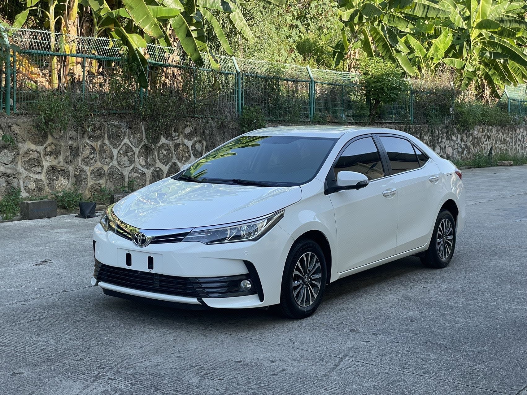 Toyota Corolla 2019 car image 