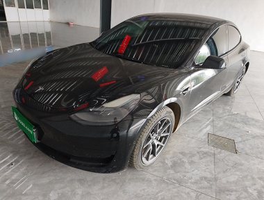 Tesla Model 3 2021 car image 