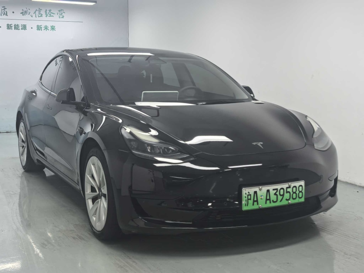 Tesla Model 3 2021 #3 Tesla Model 3 2021 car image #3