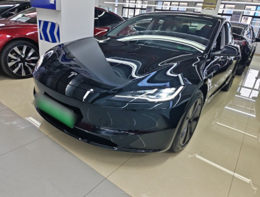 Tesla Model 3 2025 Tesla Model 3 2025 immagine di auto
