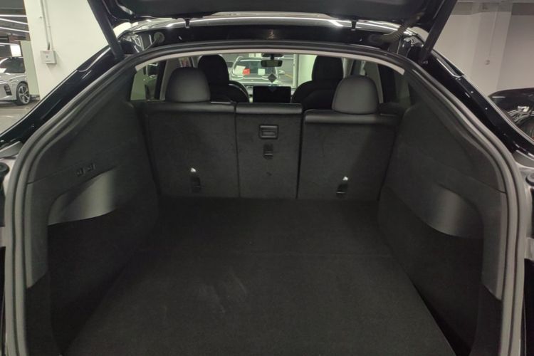 Tesla Model Y 2021 #21 Tesla Model Y 2021 car image #21