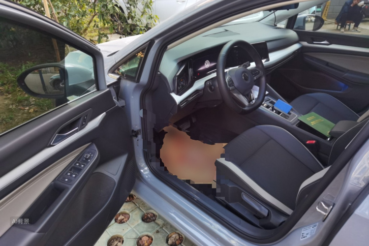 Volkswagen Golf 2022 imagen de coche #18