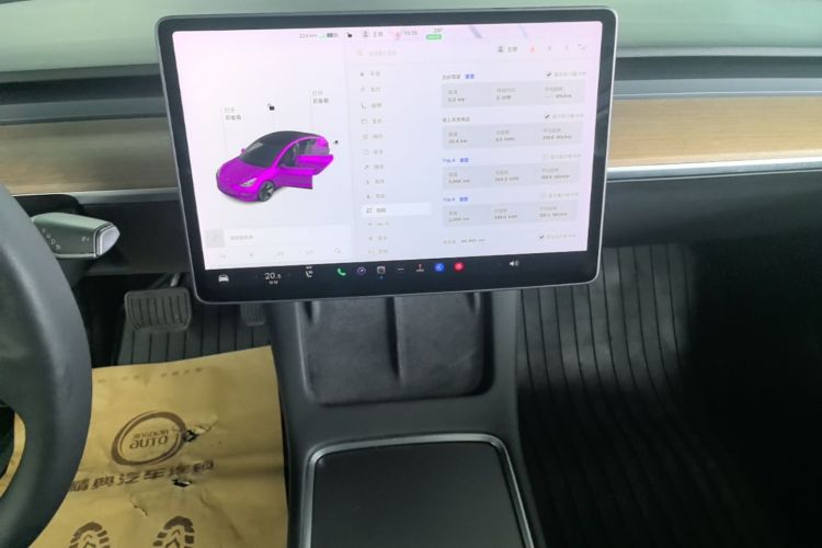 Tesla Model 3 2021 #13 Tesla Model 3 2021 car image #13