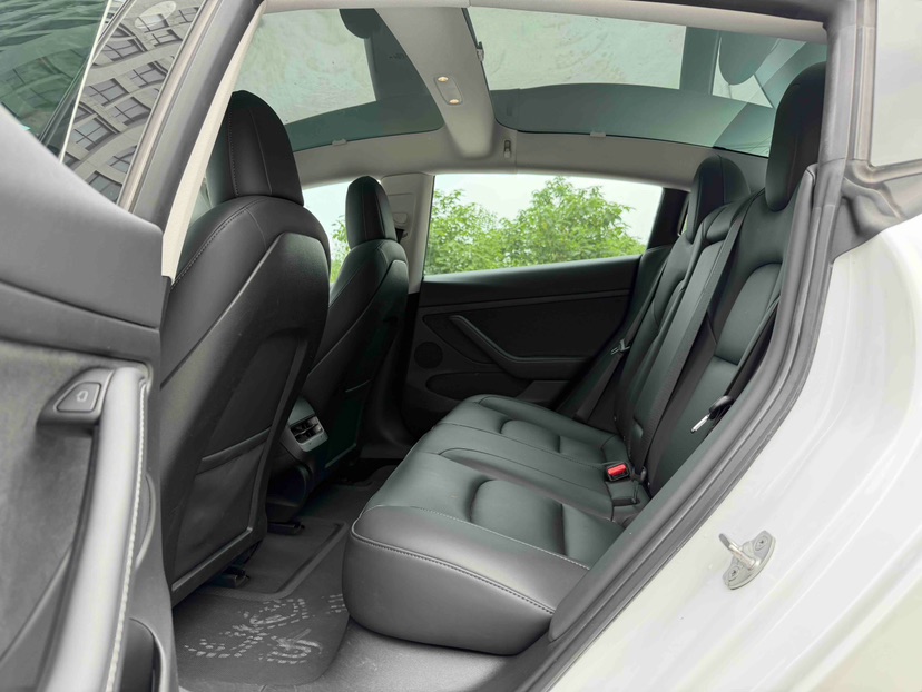 Tesla Model 3 2021 #4 Tesla Model 3 2021 car image #4