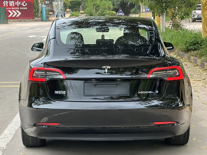 Tesla Model 3 2020 #8 Tesla Model 3 2020 car image #8