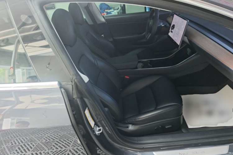Tesla Model 3 2020 car image #24