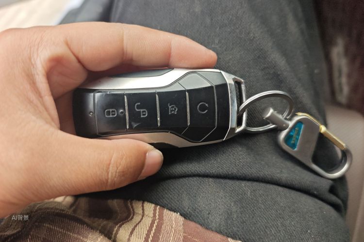 BYD Han 2022 immagine di auto #10