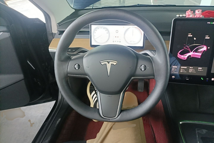 Tesla Model 3 2021 car image #11