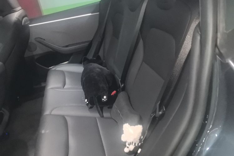 Tesla Model 3 2024 car image #10