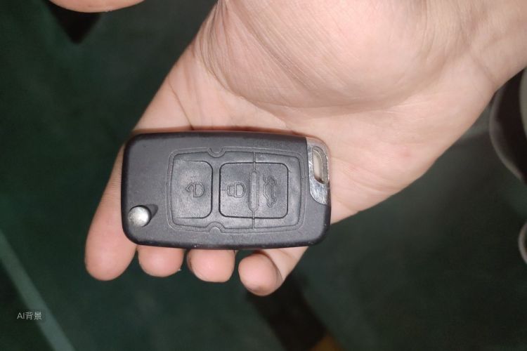 BYD Han 2022 immagine di auto #10