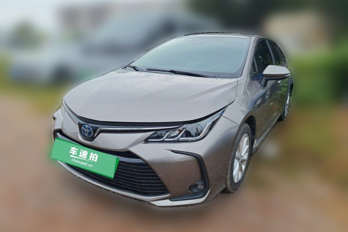 Toyota Corolla 2019 Toyota Corolla 2019 car image